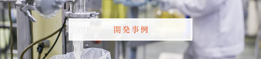 開発事例