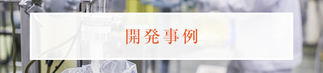 開発事例